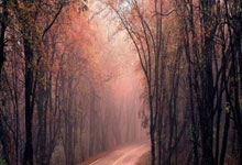 亚星娱乐官网：英超-福登双响德布劳内建功 曼城4-0大胜布赖顿.