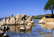 佩德里：西班牙无需畏惧任何对手 西蒙总能扑出一到两球.